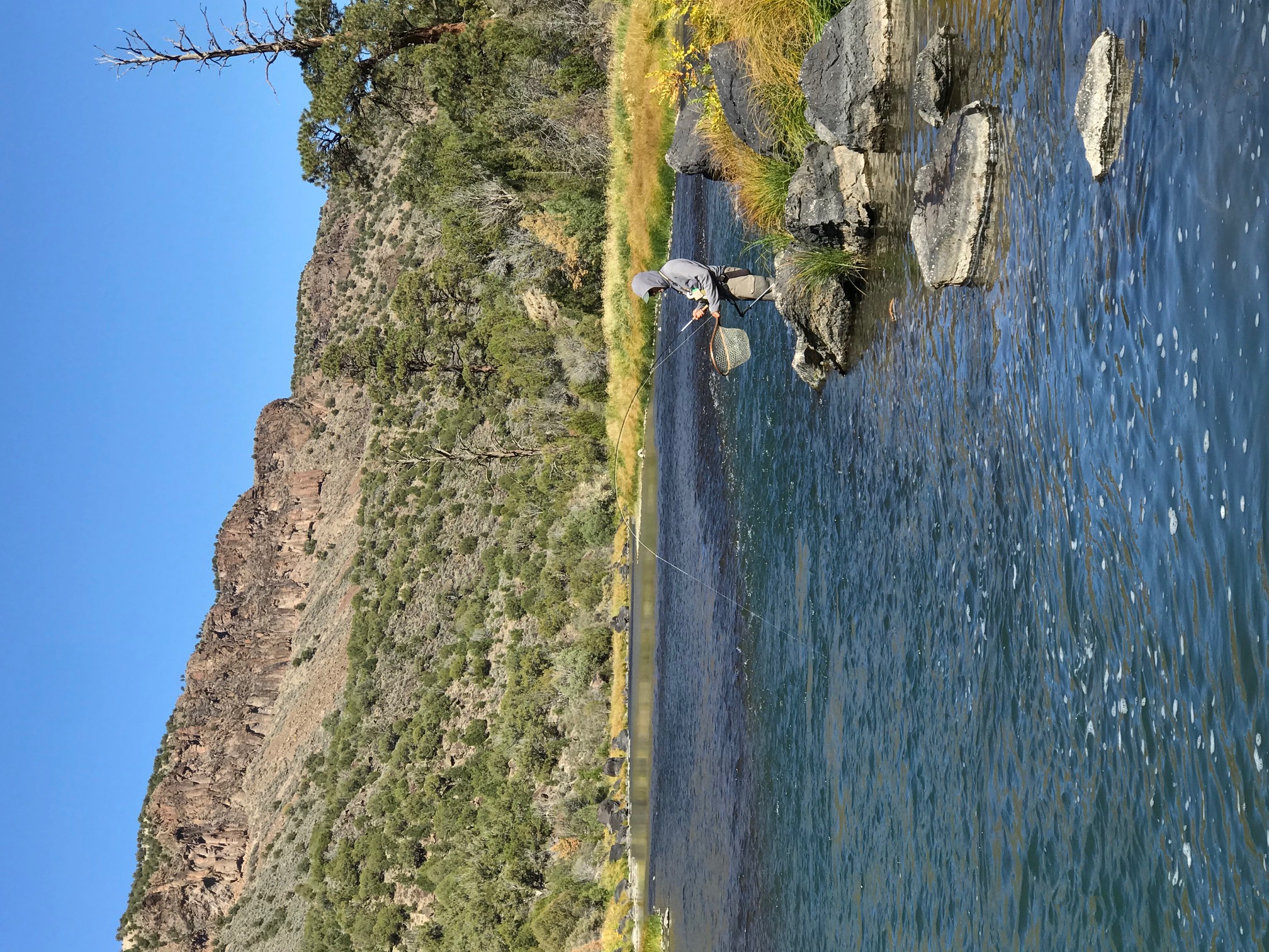 Trip Image